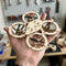 drone-bois-a-construire-sur-la-main-01 Drone en Bois à Construire, Quadricoptère Télécommandé