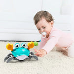 Willy the crab that works - baby awakening toy - Vignette | Royaume Montessori - Jouets Educatifs Montessori