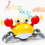 Willy the crab that works - baby awakening toy - Vignette | Royaume Montessori - Jouets Educatifs Montessori