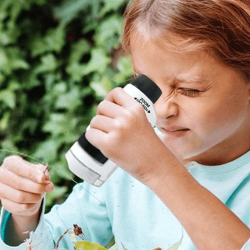 Microscope De Poche Enfant : Un Voyage Fascinant
