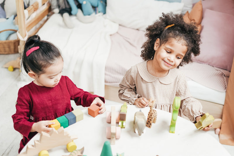 Why Buy Montessori Games?