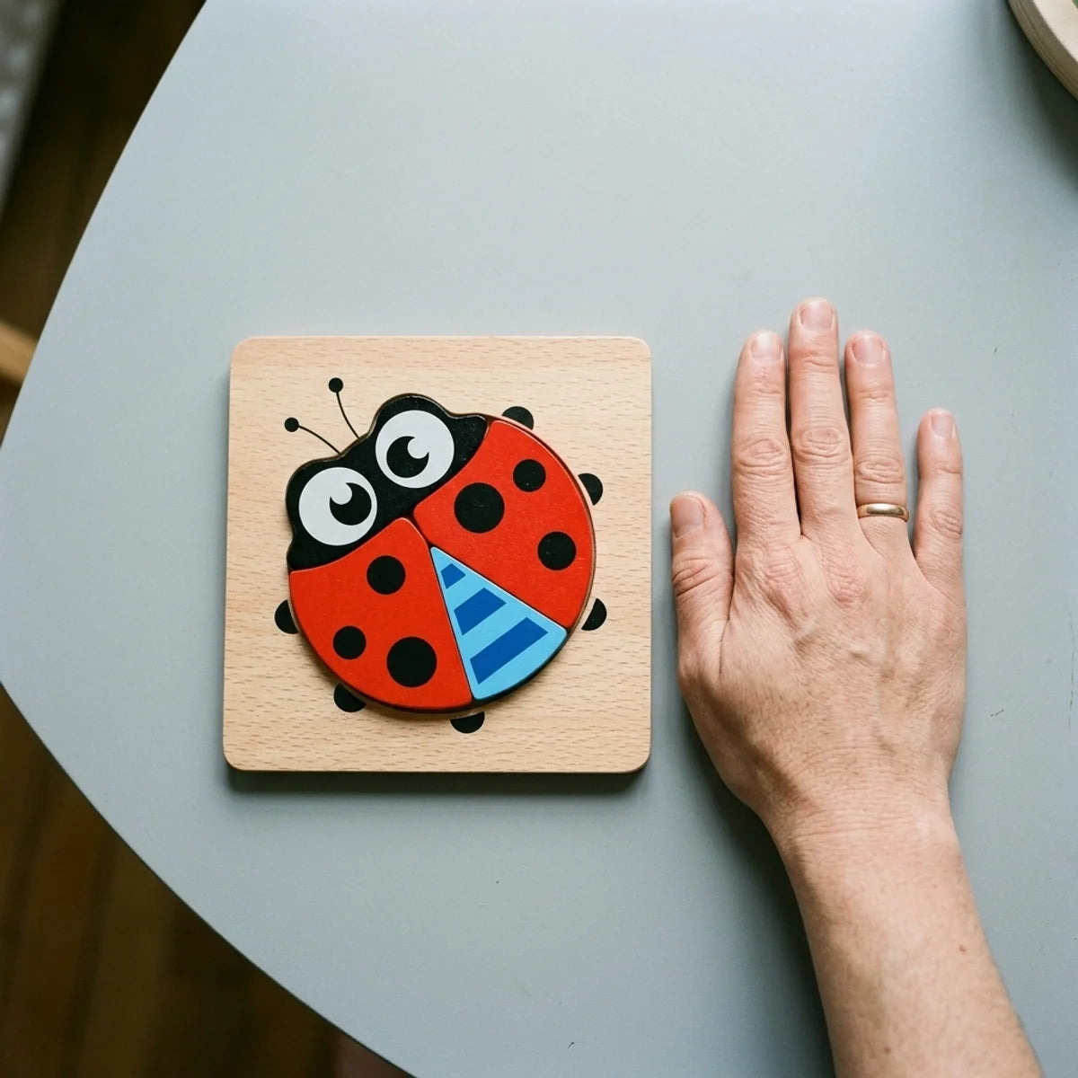 Puzzle en bois de 15 cm comparé à une main d'adulte