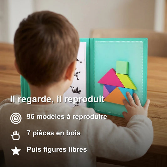 Tangram Magnétique Montessori En Bois